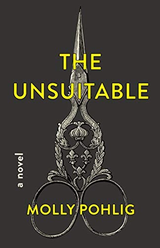Book cover of The Unsuitable: A Novel by Molly Pohlig