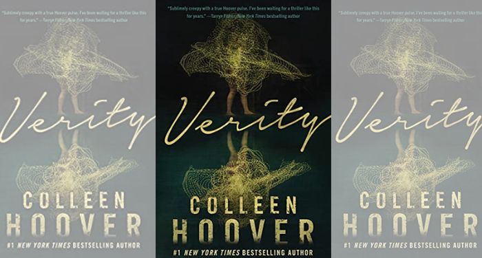 Verity Colleen Hoover Summary